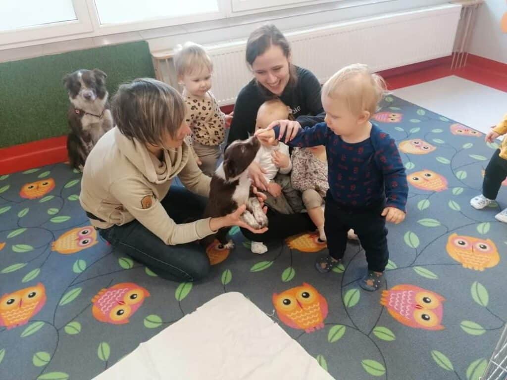 Детские сады в Польше: личный опыт, как отдать ребенка в ясли