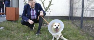 Польский ужонд приютил собаку, которая потеряла лапу на войне в Украине