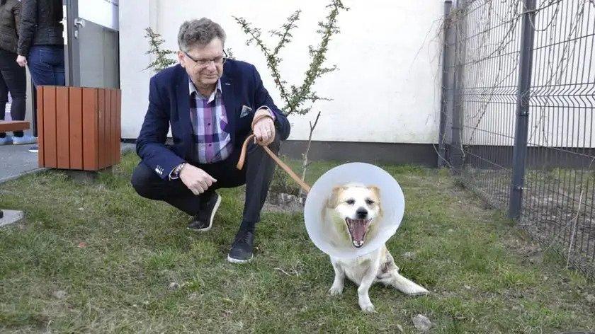 Польский ужонд приютил собаку, которая потеряла лапу на войне в Украине