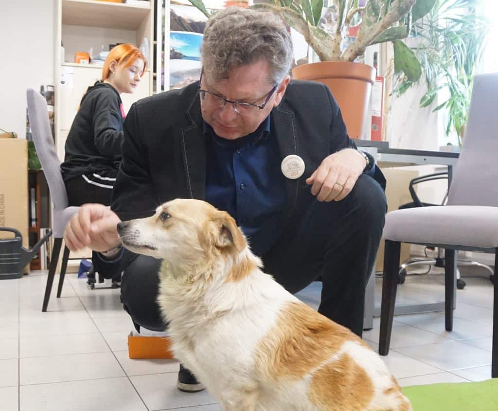 Польские чиновники приютили собаку, которая потеряла лапу в Украине