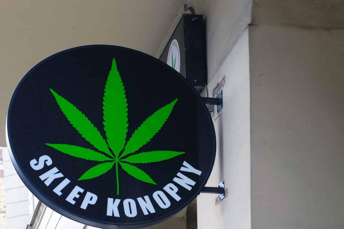 Польше легализовали марихуану конопля через сутки