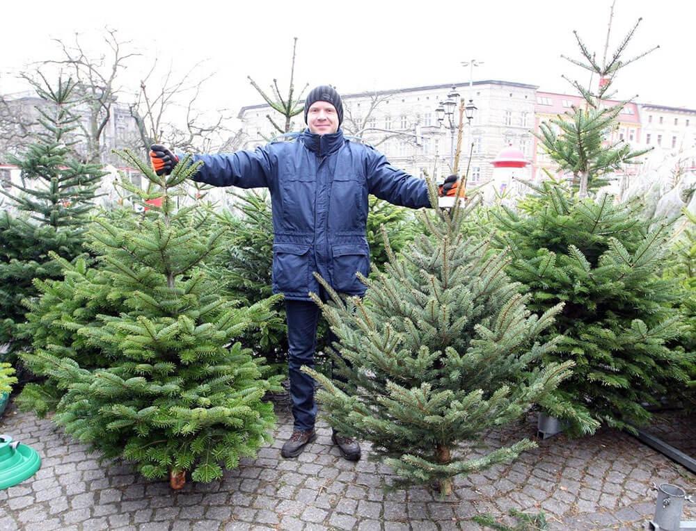 Рождество в Польше 2022: как празднуют, какие традиции и обычаи есть